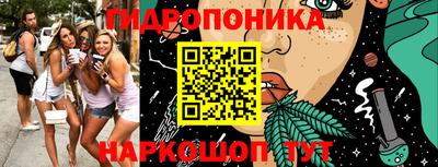 скорость Новодвинск